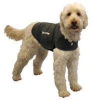 ThunderShirt